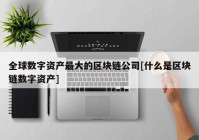 全球数字资产最大的区块链公司[什么是区块链数字资产]