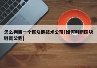 怎么判断一个区块链技术公司[如何判断区块链是公链]