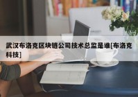 武汉布洛克区块链公司技术总监是谁[布洛克科技]