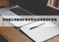 区块链公司做挖矿技术支持[区块链挖矿挣钱]